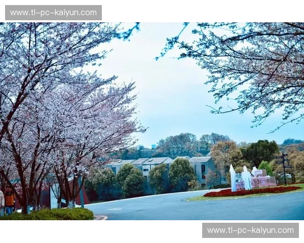 大阪樱花的浪漫邂逅：是樱红似血，还是粉嫩如霞？